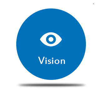 vision